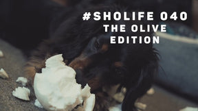 #SHOLIFE 040 | The Olive Edition