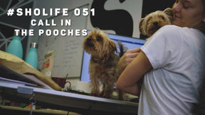 #SHOLIFE 051 | Call In The Pooches
